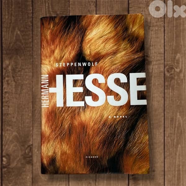 Steppenwolf - Hermann Hesse 0