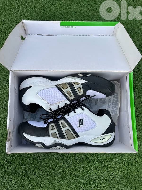 tennis shoe 1