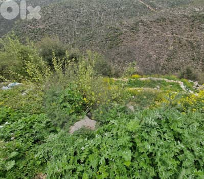 Mountain View, 200$/SQM, Ras Osta/ راس قسطا REF#RG135153