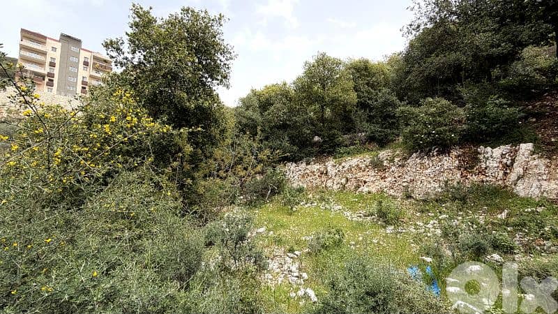 RWB363CA - Land for sale in Breij Jbeil 1