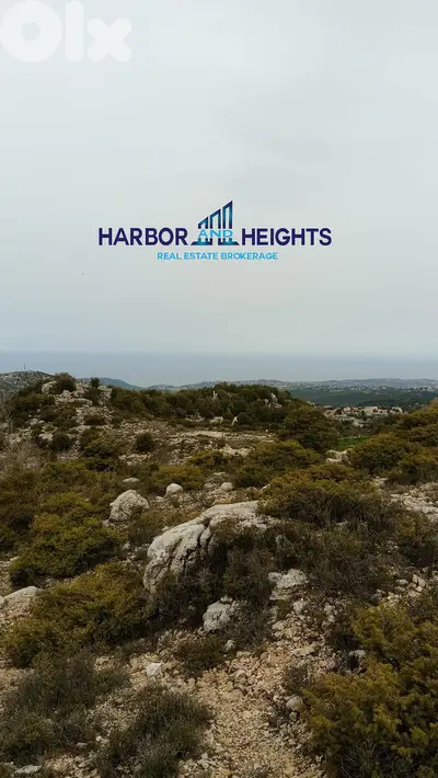 Land for Sale in Lehfed - أرض للبيع في لحفد