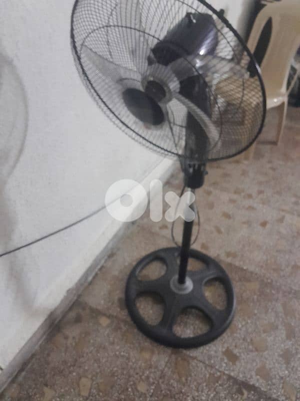 البترون . شكا 2