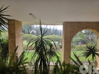 Apartment for Rent in Ain Saadeh-Private Pool شقة للإيجار في عين سعادة