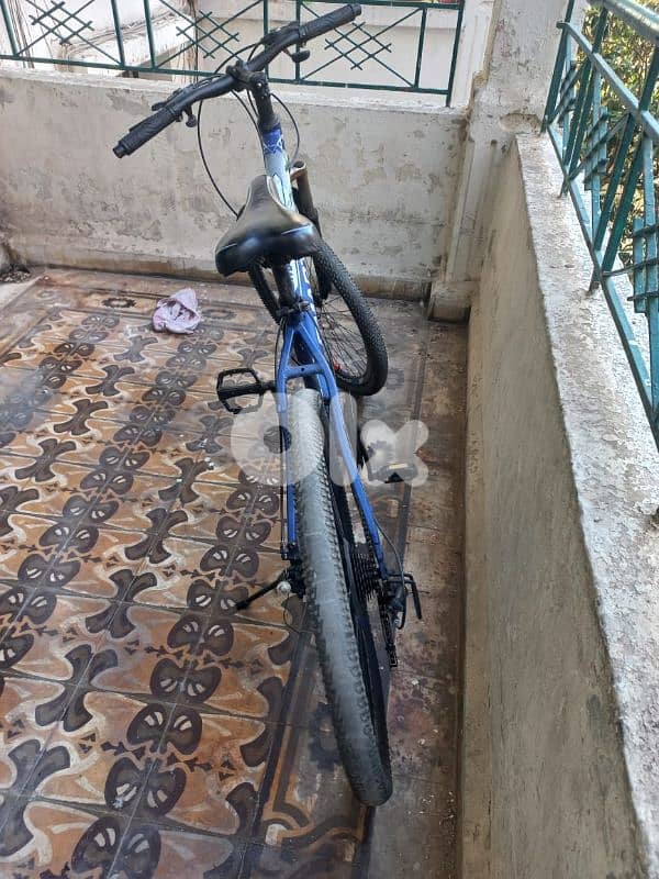 bicycle 2