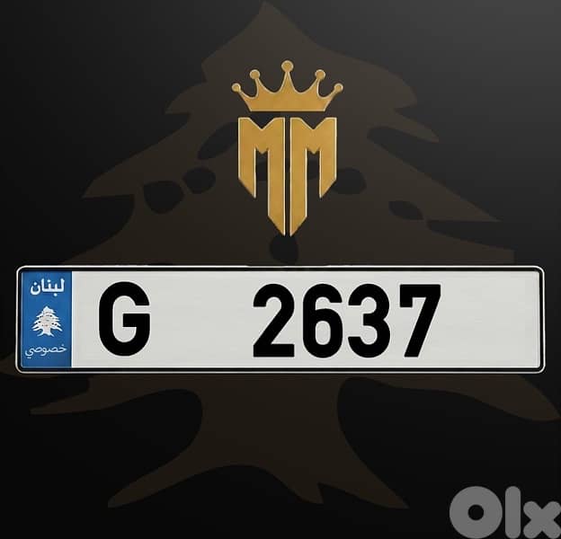 G 2637 0