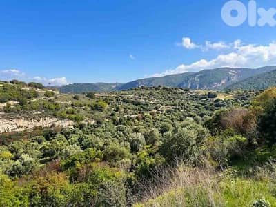 Land For Sale In Hboub | Open View | أرض للبيع | PLS 20341