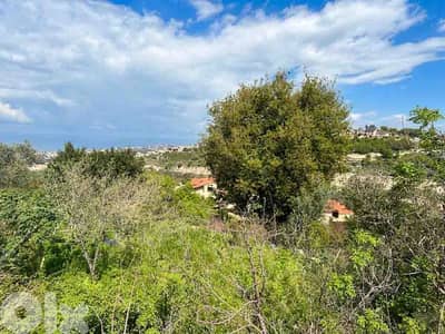 Land For Sale In Hboub | Open View | أرض للبيع | PLS 20341