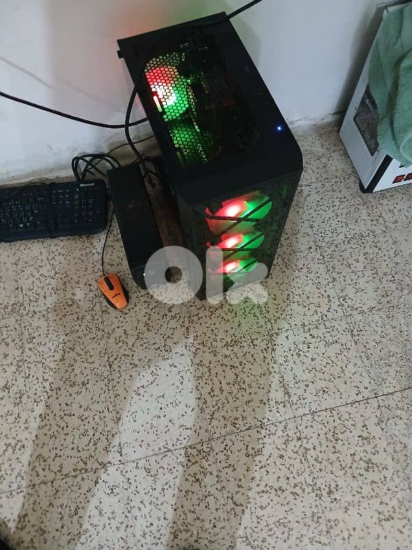 الدورة،المتن 2
