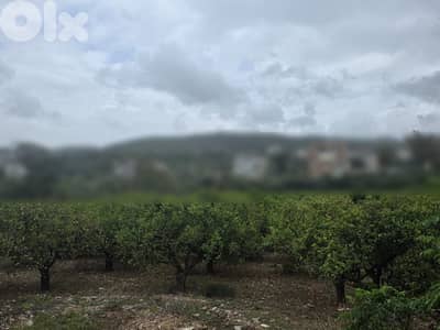 land for sale !! ارض للبيع