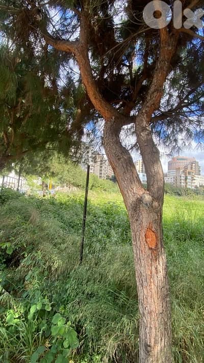 Land plain surface prime location sin el fil rent