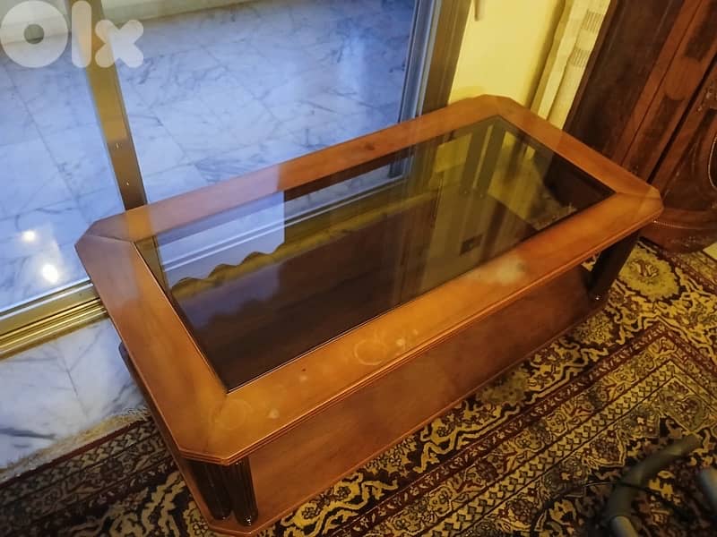 Living Room Couch 1