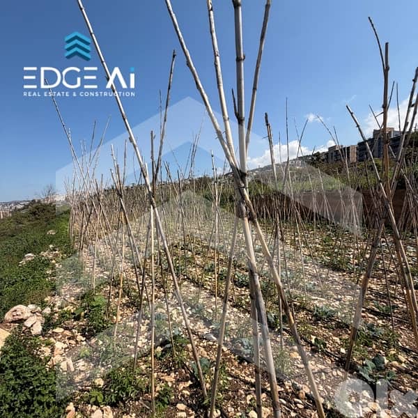 Prime Highway Land for Sale | Halat #RA201004 8