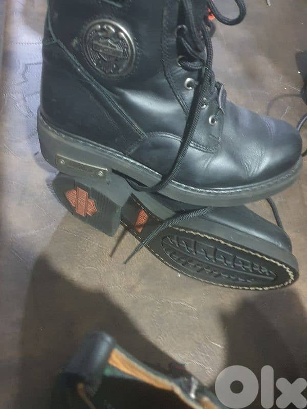 harley davidson and Tommy Hilfiger 0