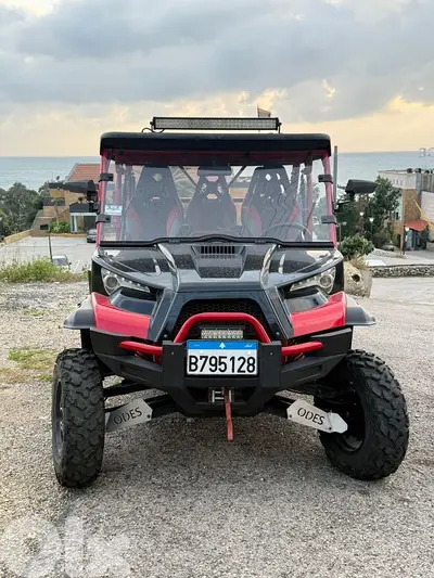 Odes Buggy LZ 1000 For Sale