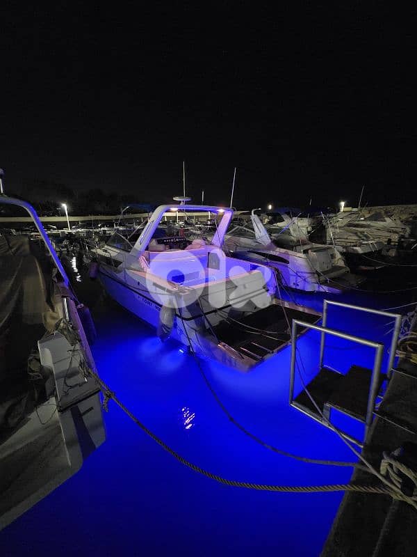 boat rentals 2