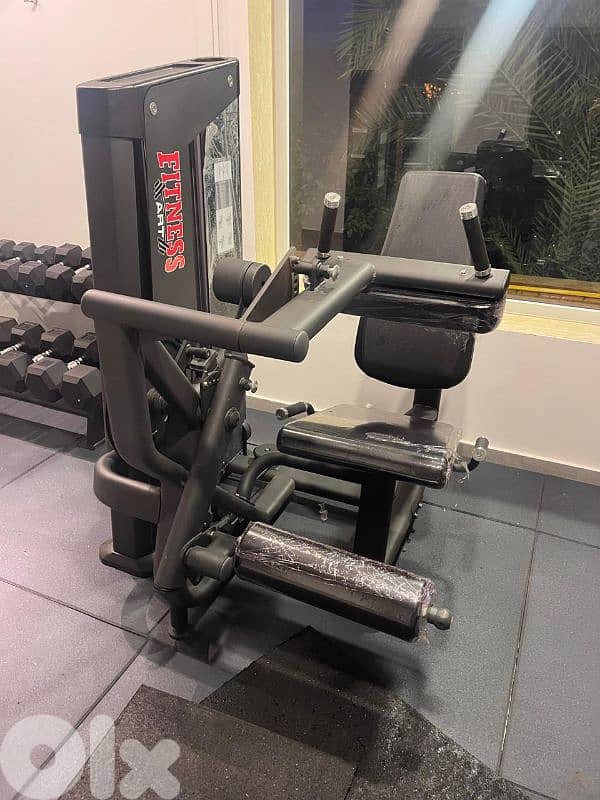 Leg Extension - Curl - Fitness Art - Best Quality 0