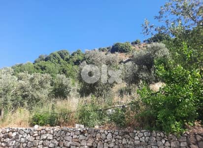 أرض للبيع في كفرنبرخ الشوف land for sale in chouf