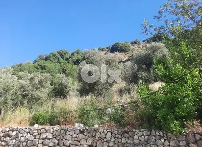 أرض للبيع في كفرنبرخ الشوف land for sale in chouf