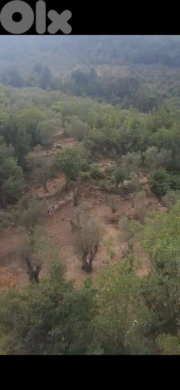 أرض للبيع في الشوف غريفة land for sale in chouf