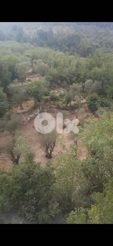 أرض للبيع في الشوف غريفة land for sale in chouf