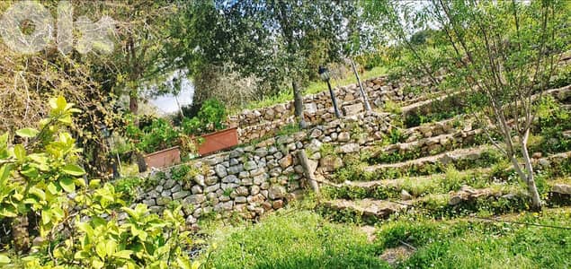 L21007 - Furnished Traditional House With Garden For Rent in Batroun