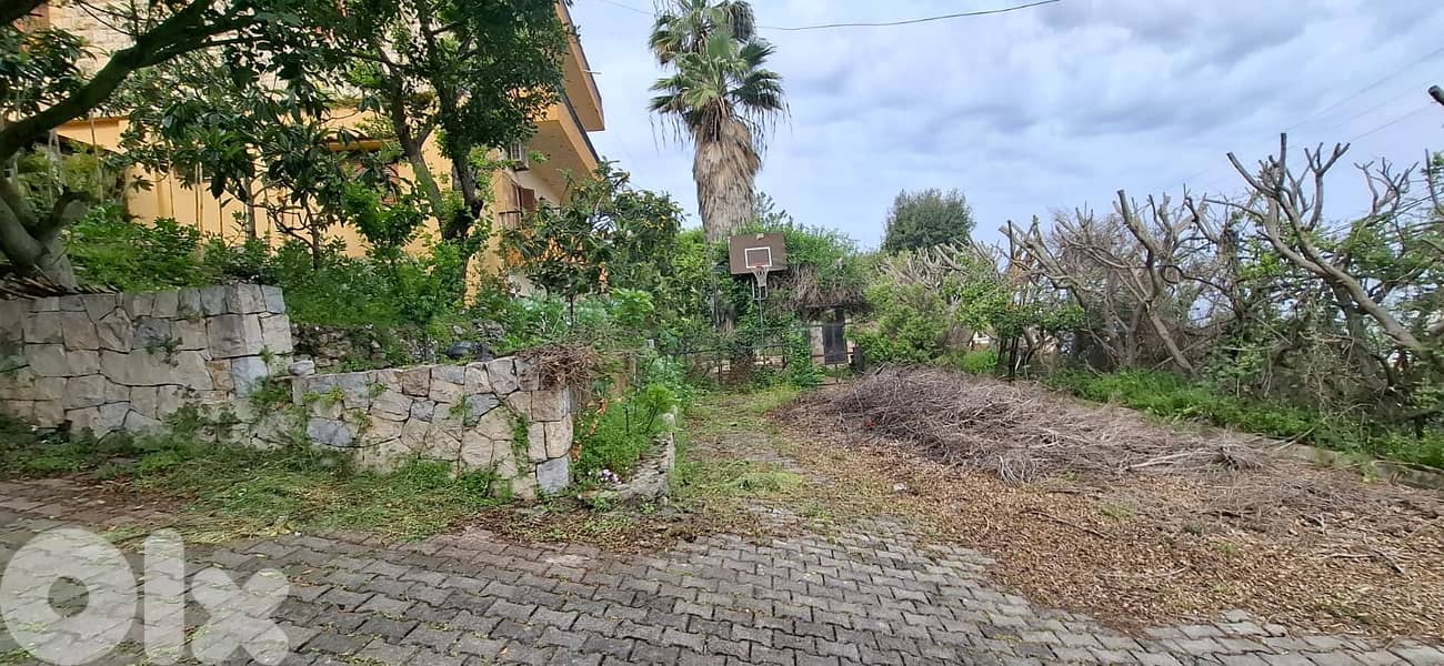L21008 - A 1,802 SQM Land With Old House For Sale in Nabey 6