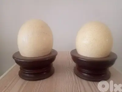 Ostrich eggs 2 pecse same whit stand