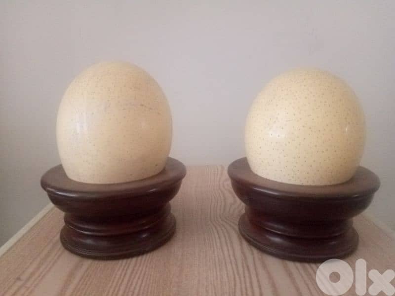 Ostrich eggs 2 pecse same whit stand 0