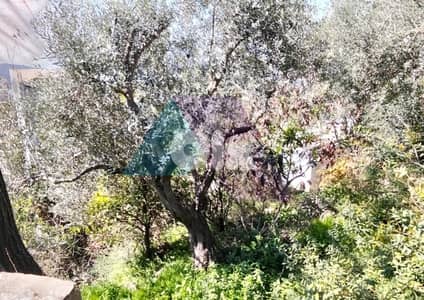 450 Old house+3 plots of land+2 garden 4sale in Basatineالبساتين-عرمون