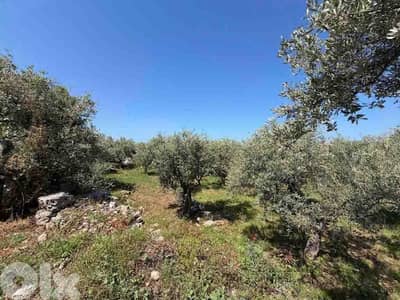 Land For Sale In Monsef | Jbeil | أرض للبيع | PLS 26504