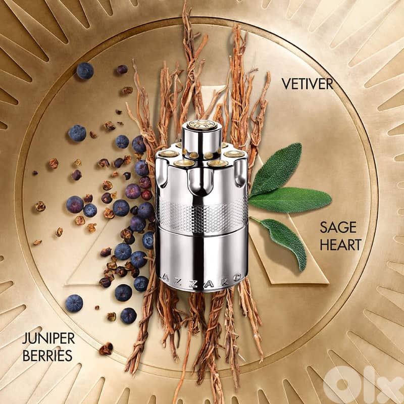 Azzaro Wanted (Eau de Toilette) - 100 mL 2