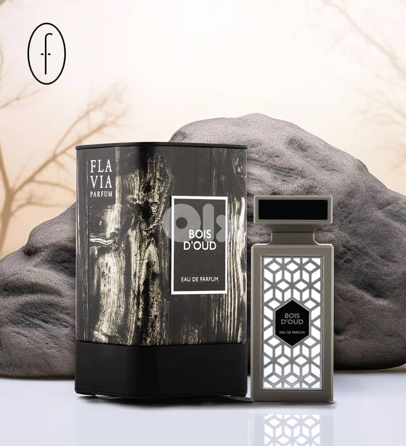 Flavia Bois D’Oud Eau De Parfum 90 ML (Men) 1