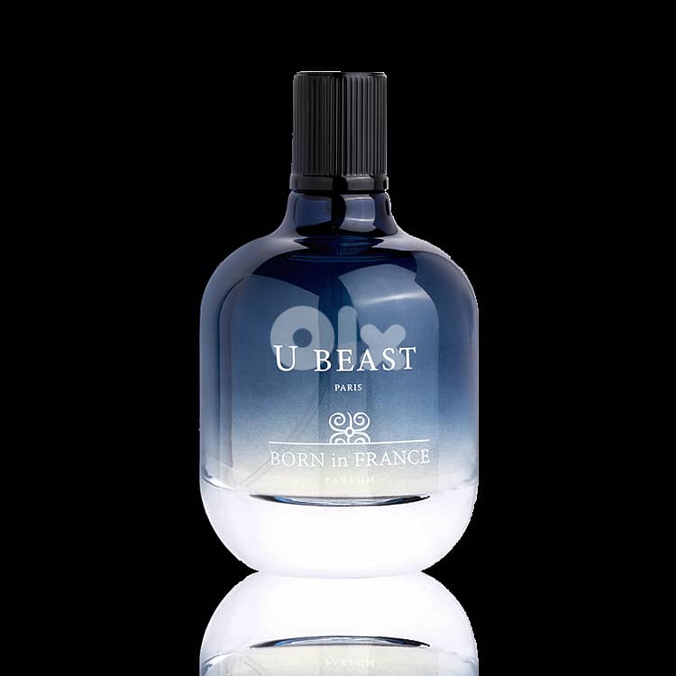 Born In France U Beast Eau de Parfum 100 ml (Men) 0