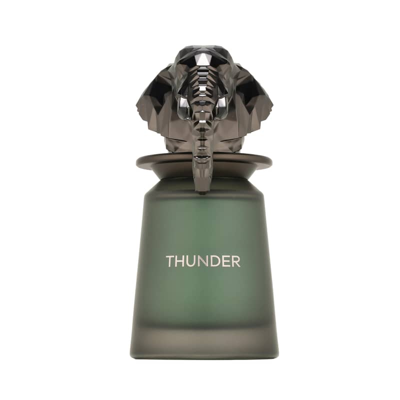 French Avenue Thunder Eau de Parfum 100 mL (Men) 0
