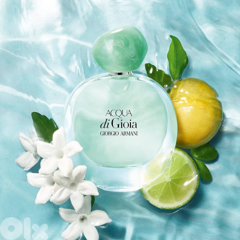 Giorgio Armani Acqua Di Gioia Eau De Parfum 100 mL – Women 2