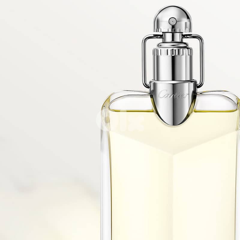 Cartier Déclaration – Eau de Toilette 100 mL – Men 2