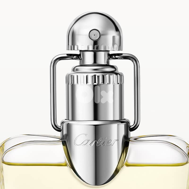 Cartier Déclaration – Eau de Toilette 100 mL – Men 3