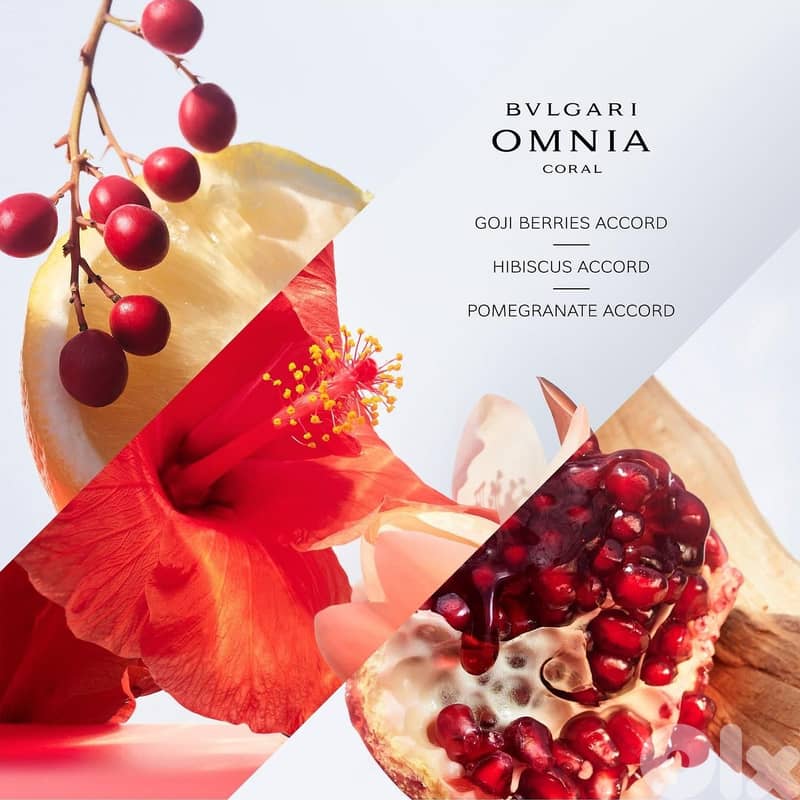Bvlgari Omnia Coral – Eau de Toilette 65 mL – Women 3
