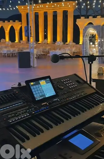 korg pa