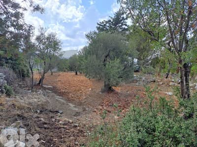LAND/Derbilla/ Batroun/دربلا – البترون/investment project REF#YC135309