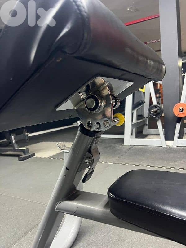 Biceps Bench 1