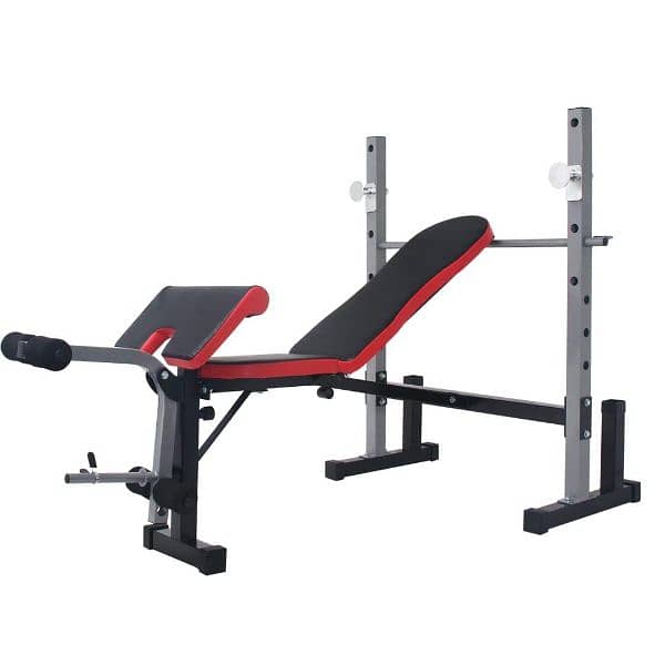 Bench adjustable with leg extension and biceps 0