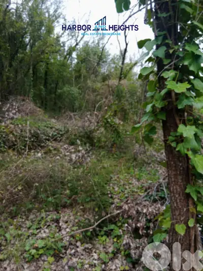 Land for Sale in Lehfed - أرض للبيع في لهفد