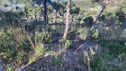 Unique Land for Sale Bekfaya | 6100 Sq. m