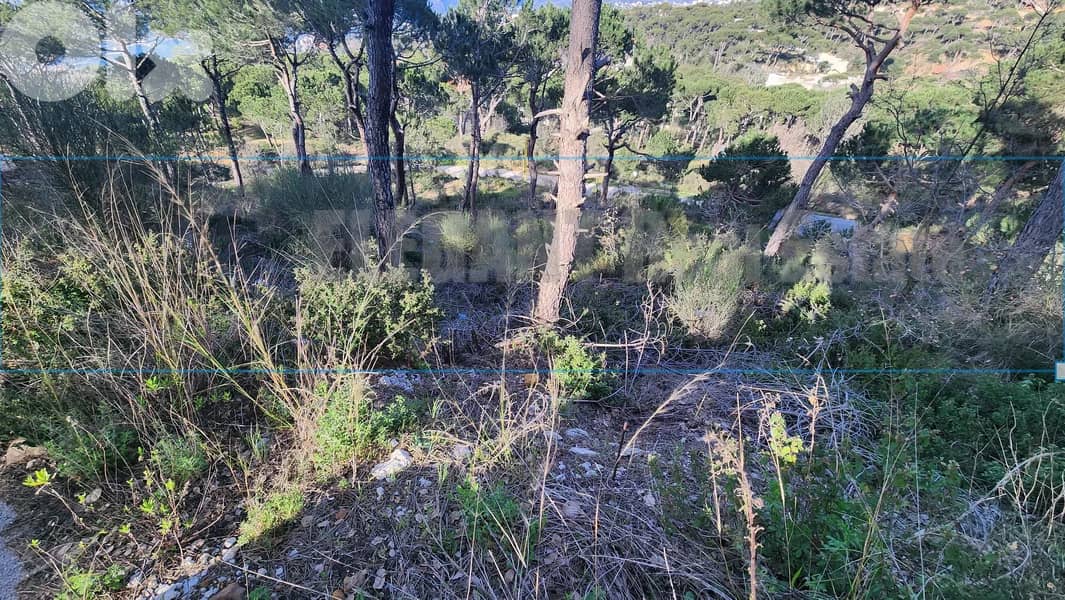 Unique Land for Sale Bekfaya | 6100 Sq. m 0