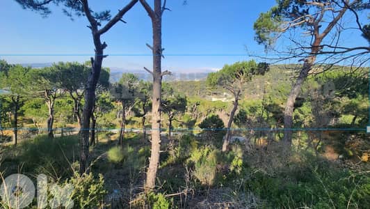 Unique Land for Sale Bekfaya | 6100 Sq. m