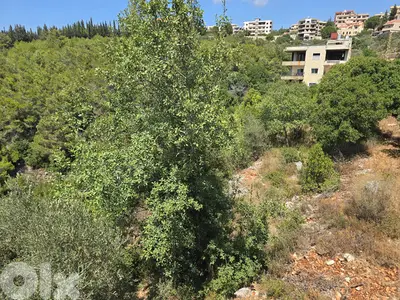 Prime Land for Sale in Borjein  -    أرض مميزة للبيع في منطقة البرجين