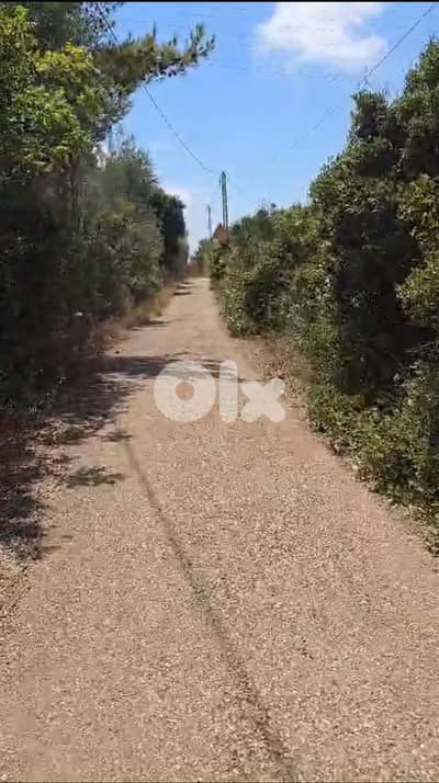 Prime Land for Sale in Borjein  -    أرض مميزة للبيع في منطقة البرجين