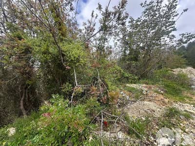 Land for Sale in Mastita 907m² ONLY for 130K في مستيتا Land for Sale in Mastita 907m² ONLY for 130K في مستيتا