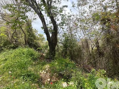 Land for Sale in Mastita 907m² ONLY for 130K في مستيتا Land for Sale in Mastita 907m² ONLY for 130K في مستيتا